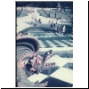 Chessboard, dragon